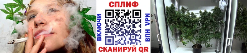 Купить наркотики Бикин ссылка на мегу онион  Меф мяу мяу  Псилоцибиновые грибы  МАРИХУАНА  ГАШИШ  АМФЕТАМИН 