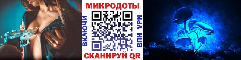 Псилоцибиновые грибы Psilocybe  купить наркоту  Бикин 